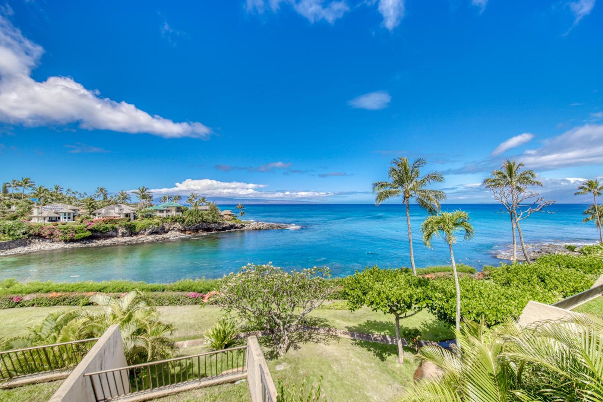 Napili Point Villa Kahana Værelse billede