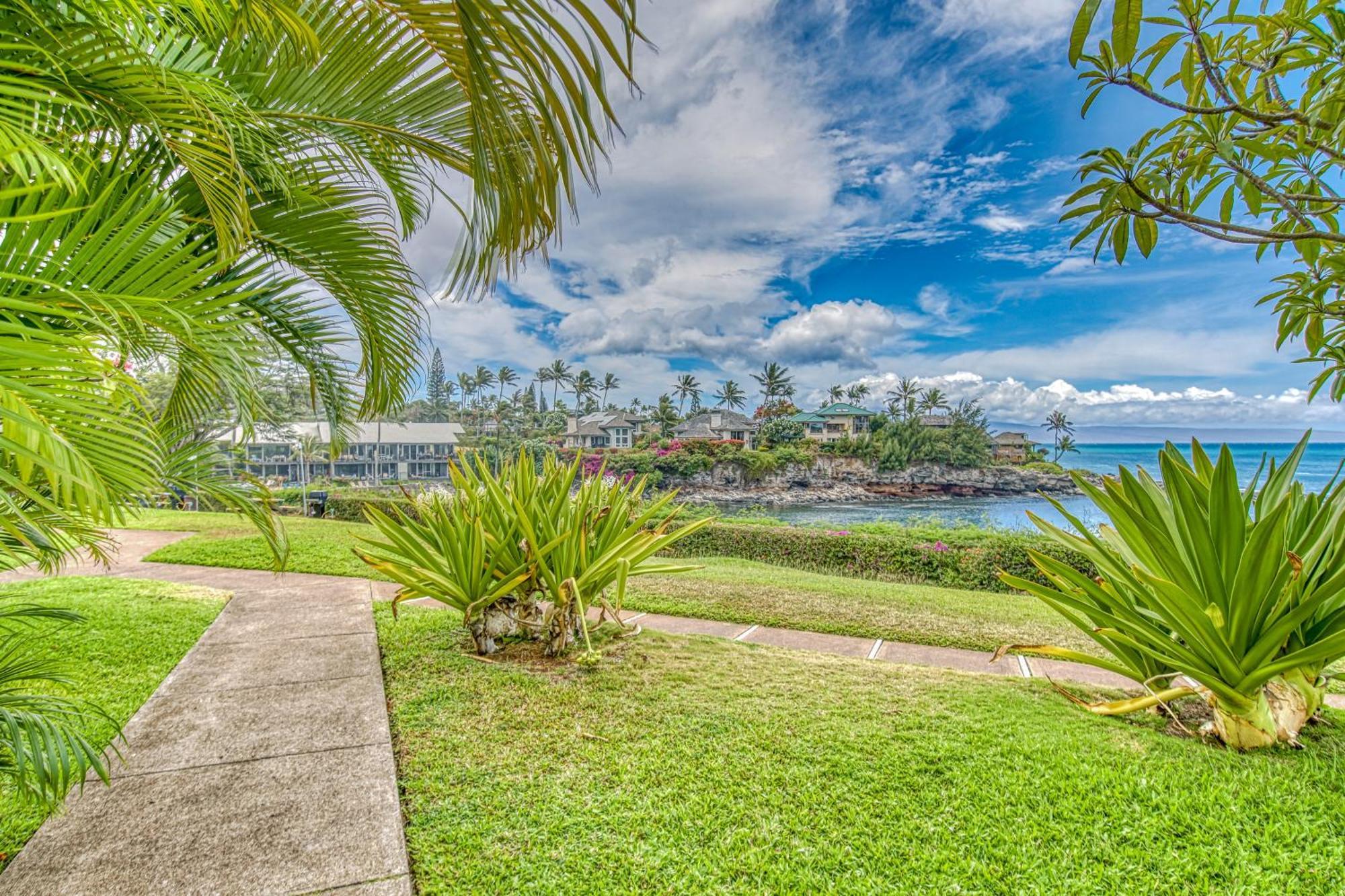 Napili Point Villa Kahana Værelse billede